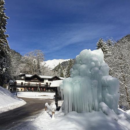 Chalet Al Faggio Affittacamere Lenzumo di Concei Esterno foto