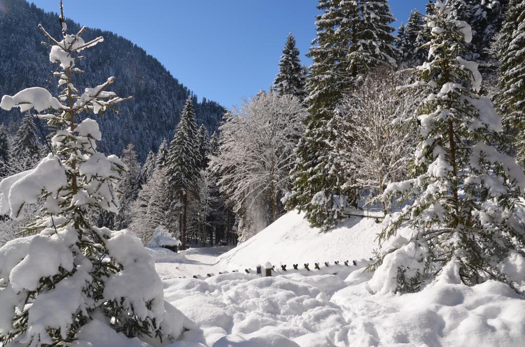 Chalet Al Faggio Affittacamere Lenzumo di Concei Esterno foto