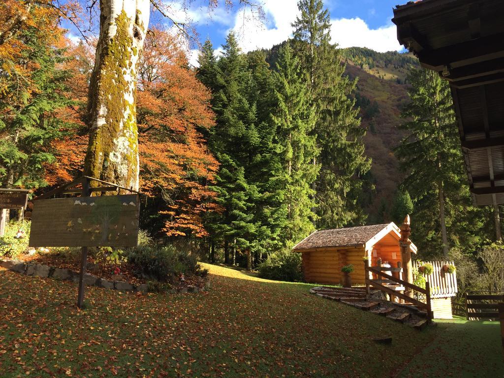 Chalet Al Faggio Affittacamere Lenzumo di Concei Esterno foto